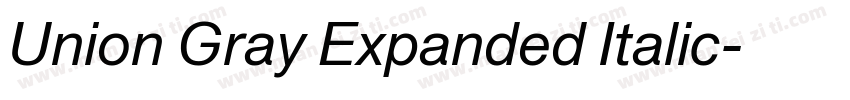 Union Gray Expanded Italic字体转换